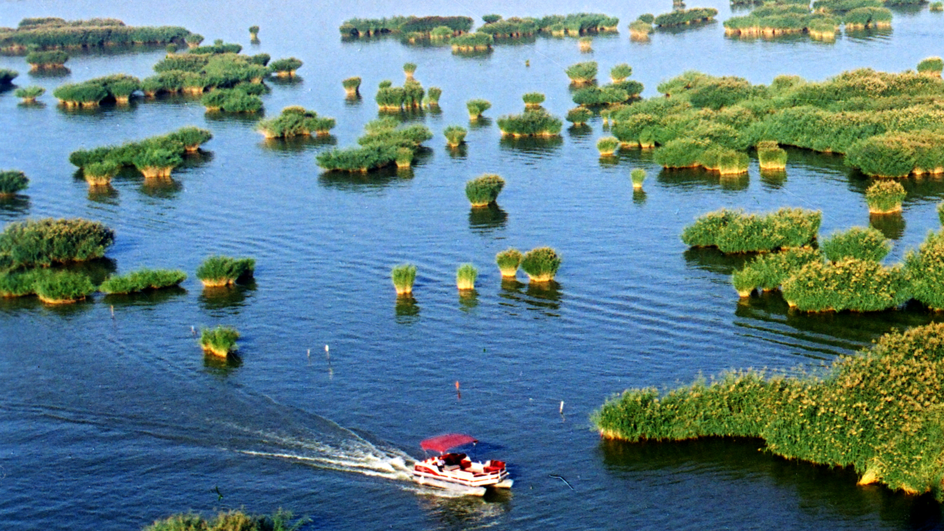 宁夏沙湖生态旅游区