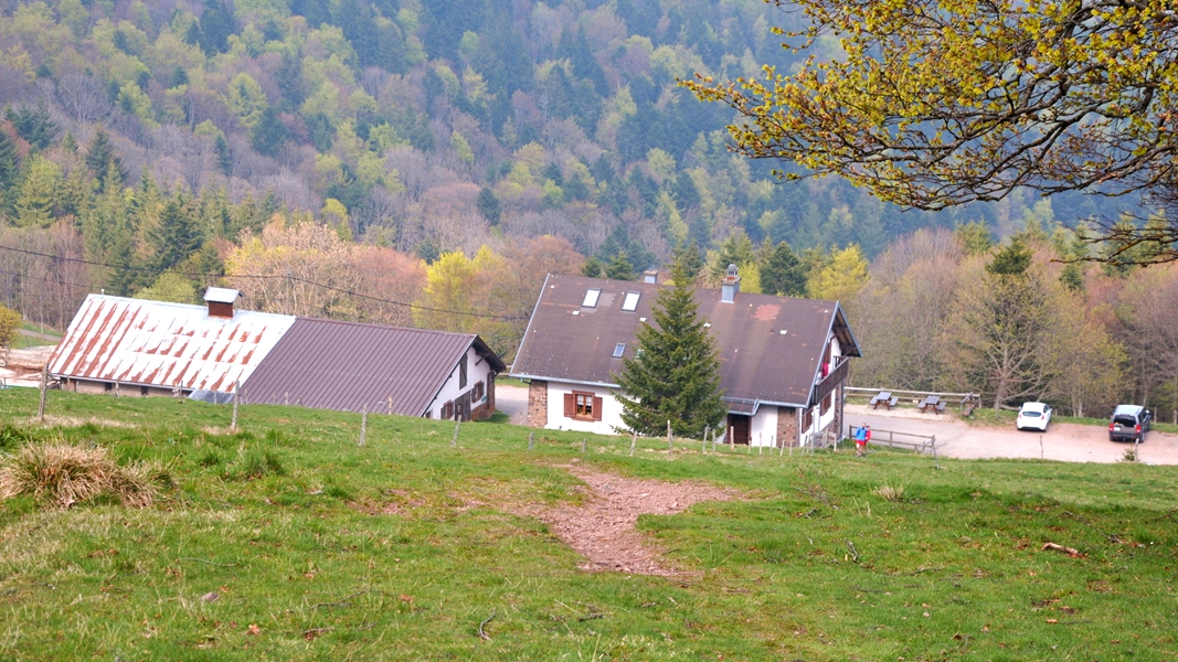 Molkenrain山农场客栈