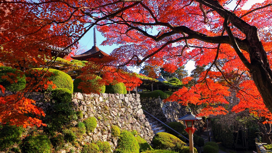 善峰寺