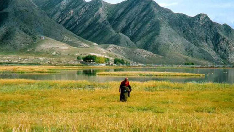 尼玛度假村