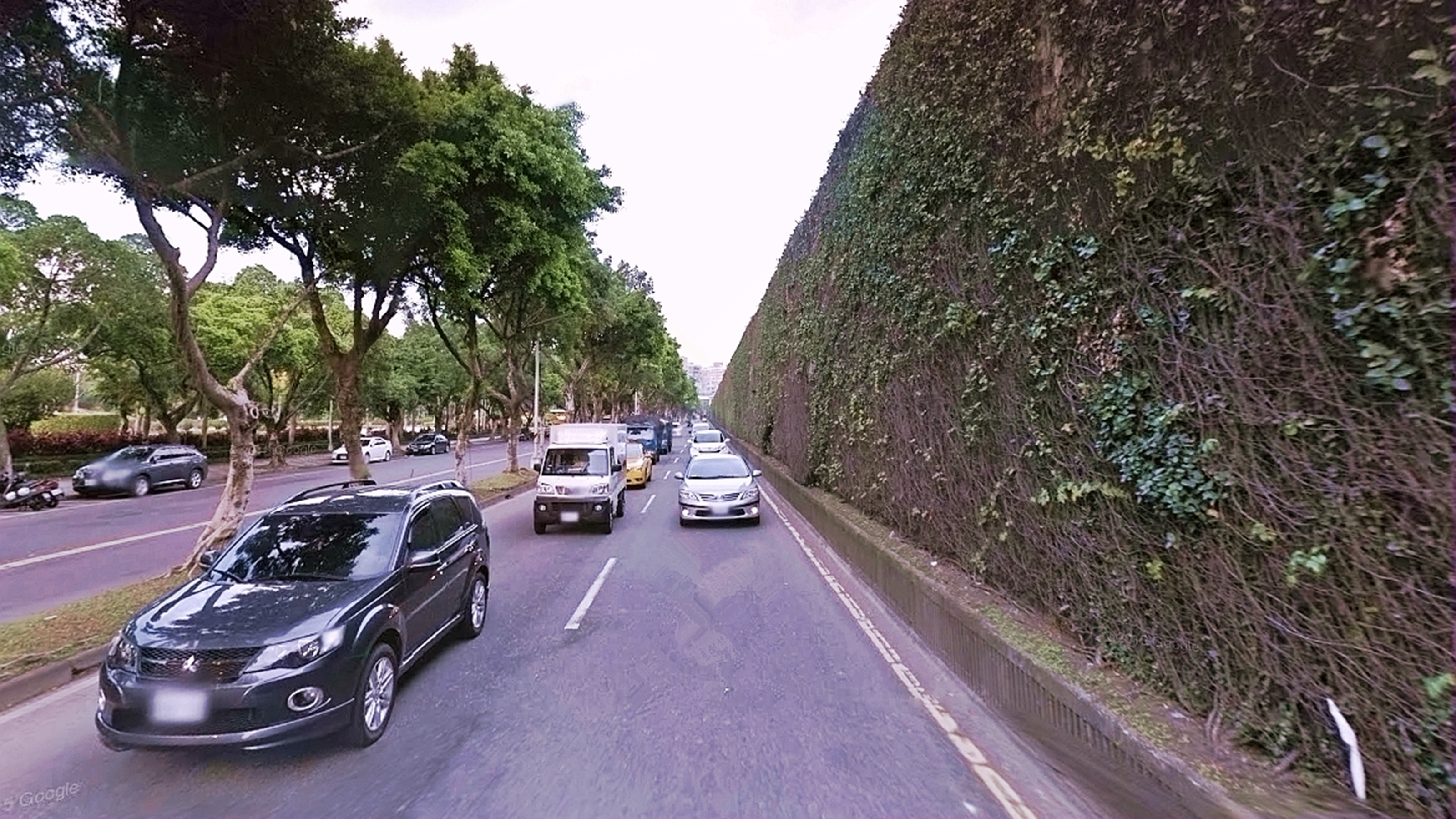 水源快速道路（青年公园段）