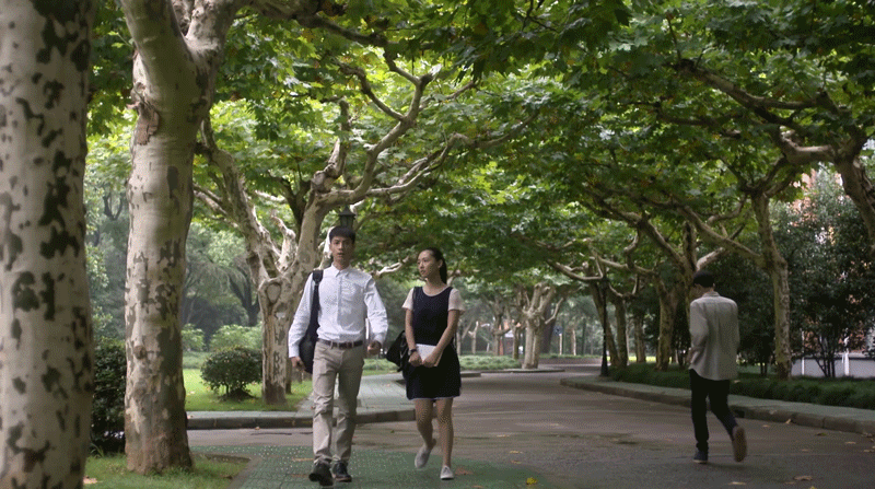 长华大学林荫道