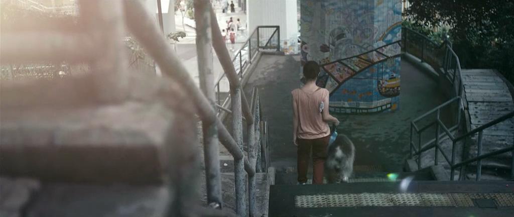 春娇遛狗的步道