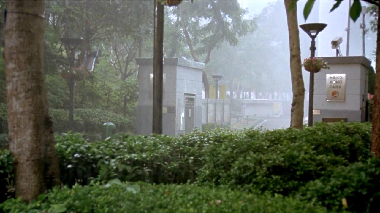 冒雨离场