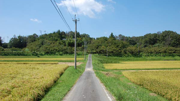 下来原乡道