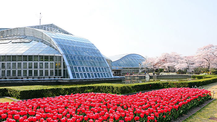 京都府立植物园