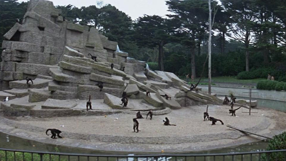 动物园