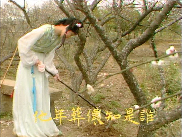 黛玉葬花