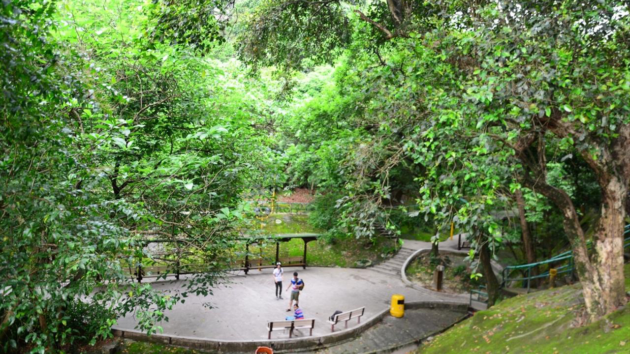 京士柏公园