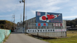 京阪锦鲤中心