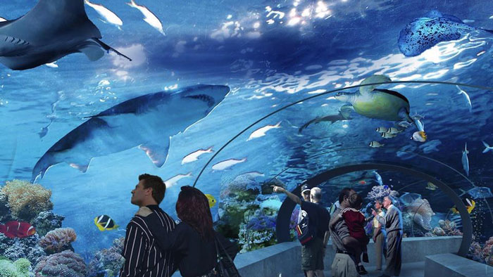 瑞普利水族馆