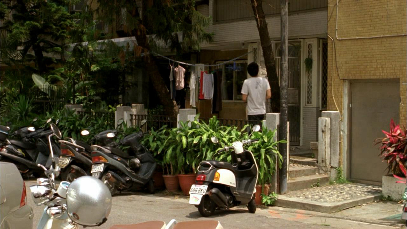 秧秧和小朋家