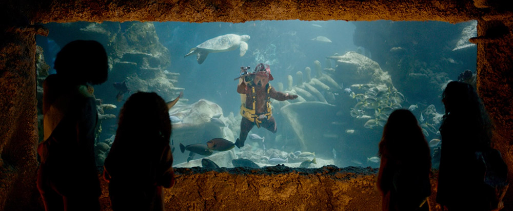 擦洗水族馆