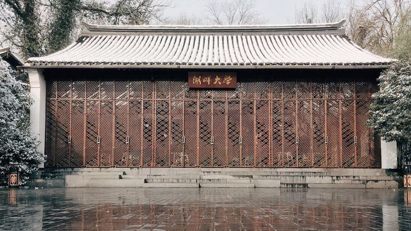 湖畔大学