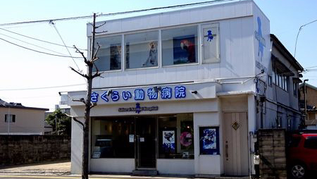樱井动物医院