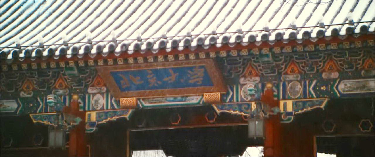 沈星辰就读的大学