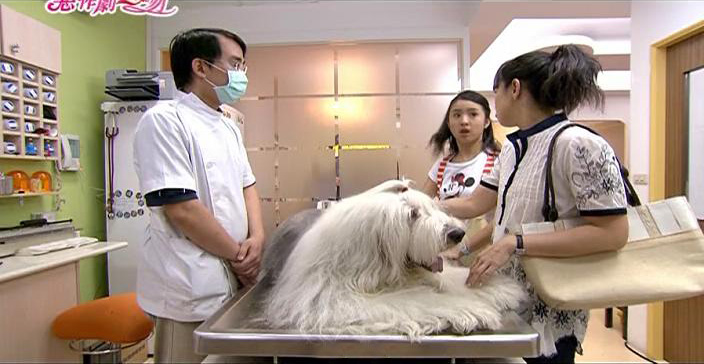 小可爱看病