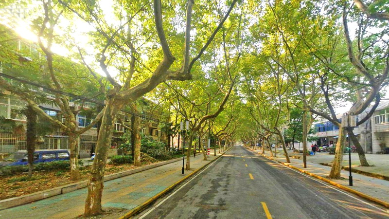 太子山路