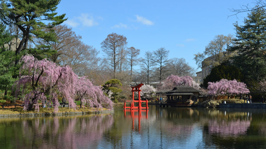 日式山水花园