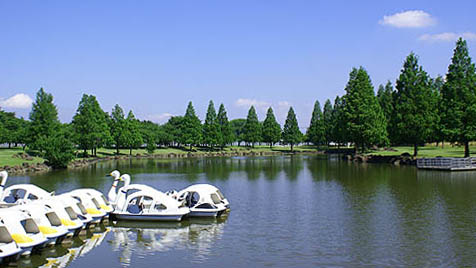 加须花开公园