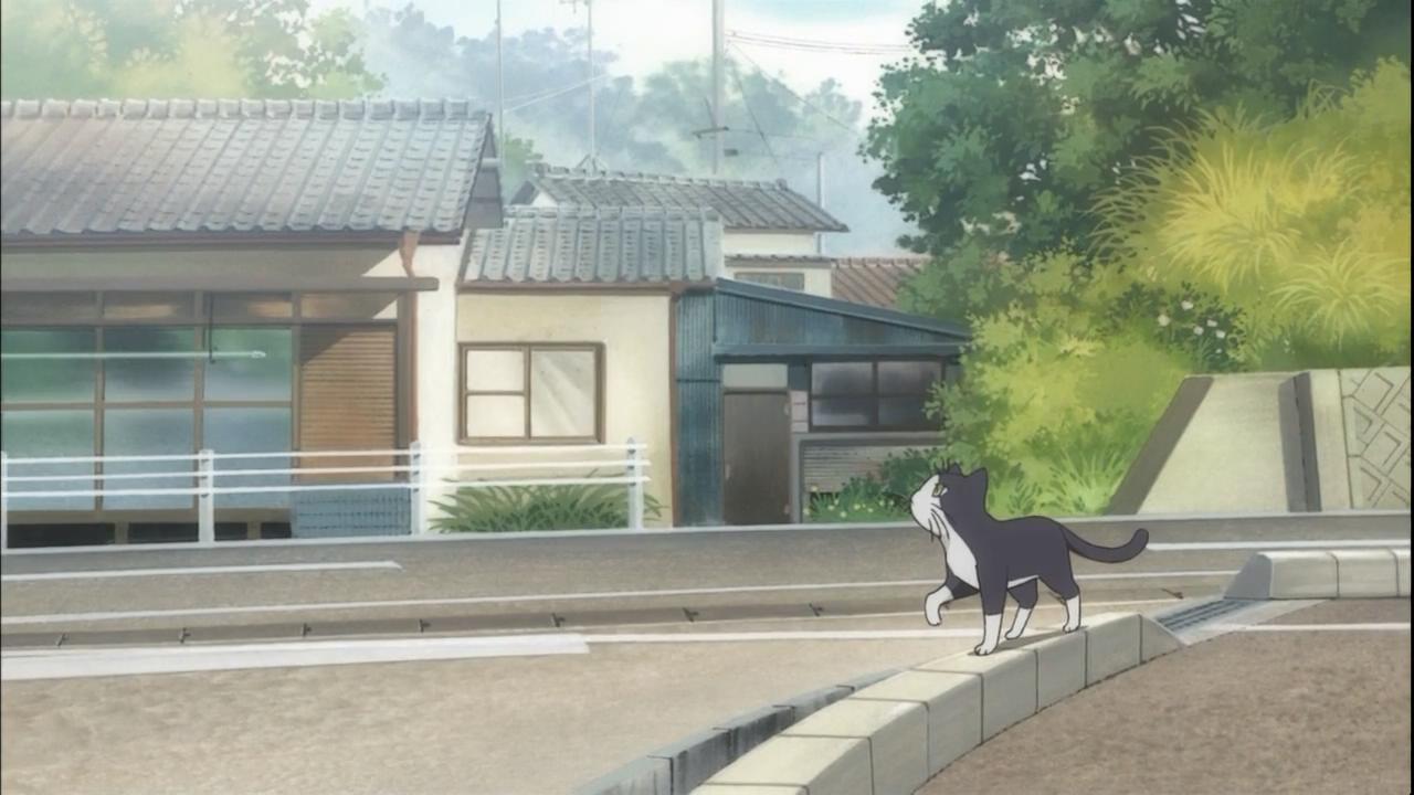 小猫在民居前