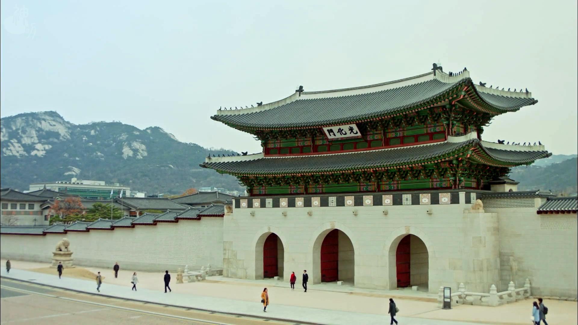 回到韩国