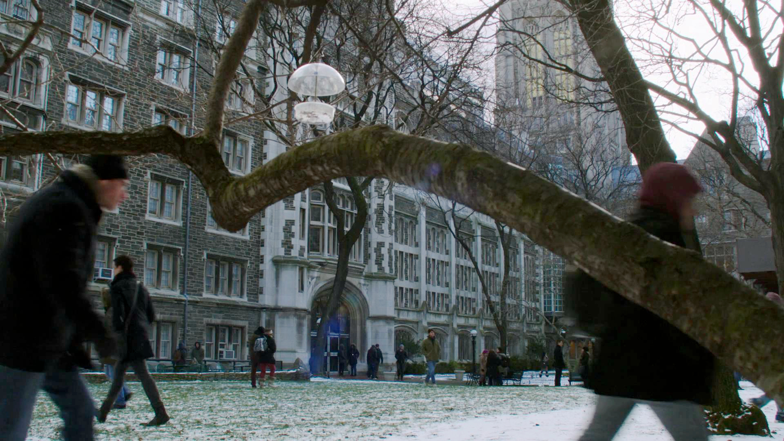 哈珀与男友特雷的大学