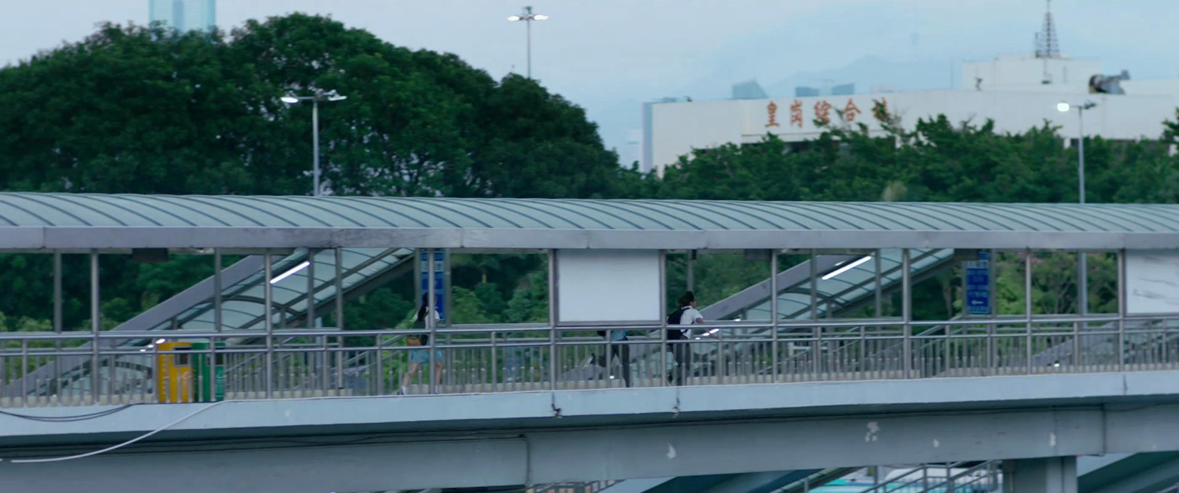 假学生成功通关