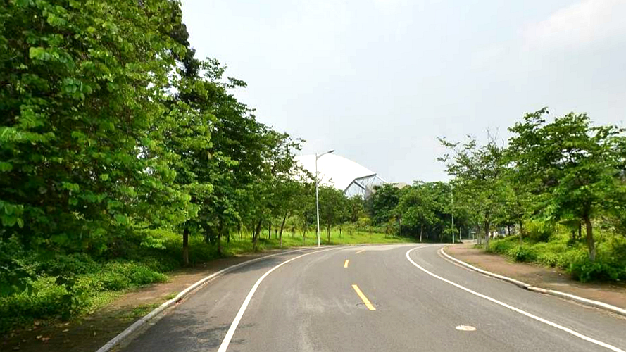 大学城环湖街