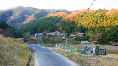 八知地区南部道路