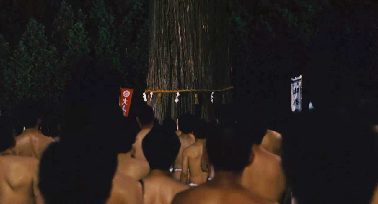 大杉树