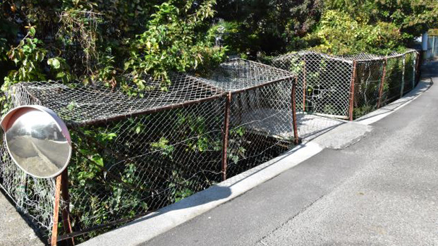 就业中心北侧道路