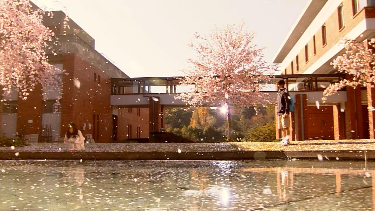 滨田山美术大学（池塘等）
