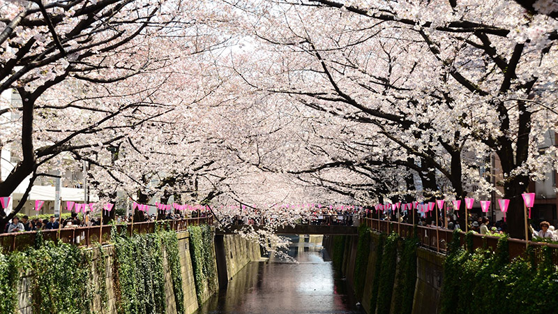目黑川