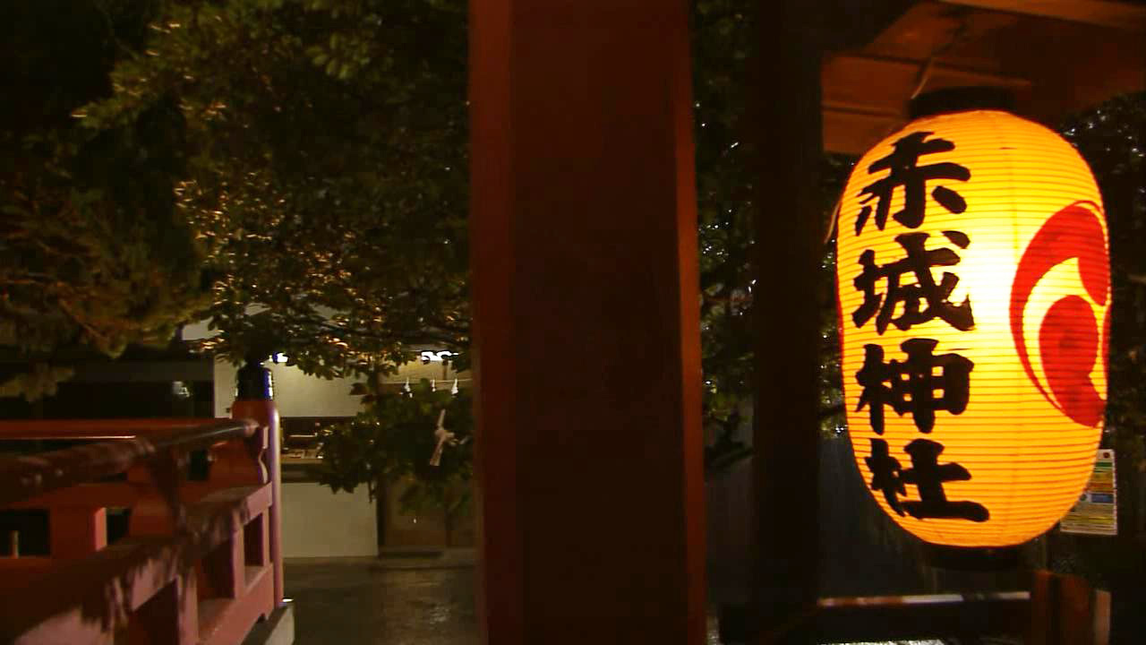 致电宫先生