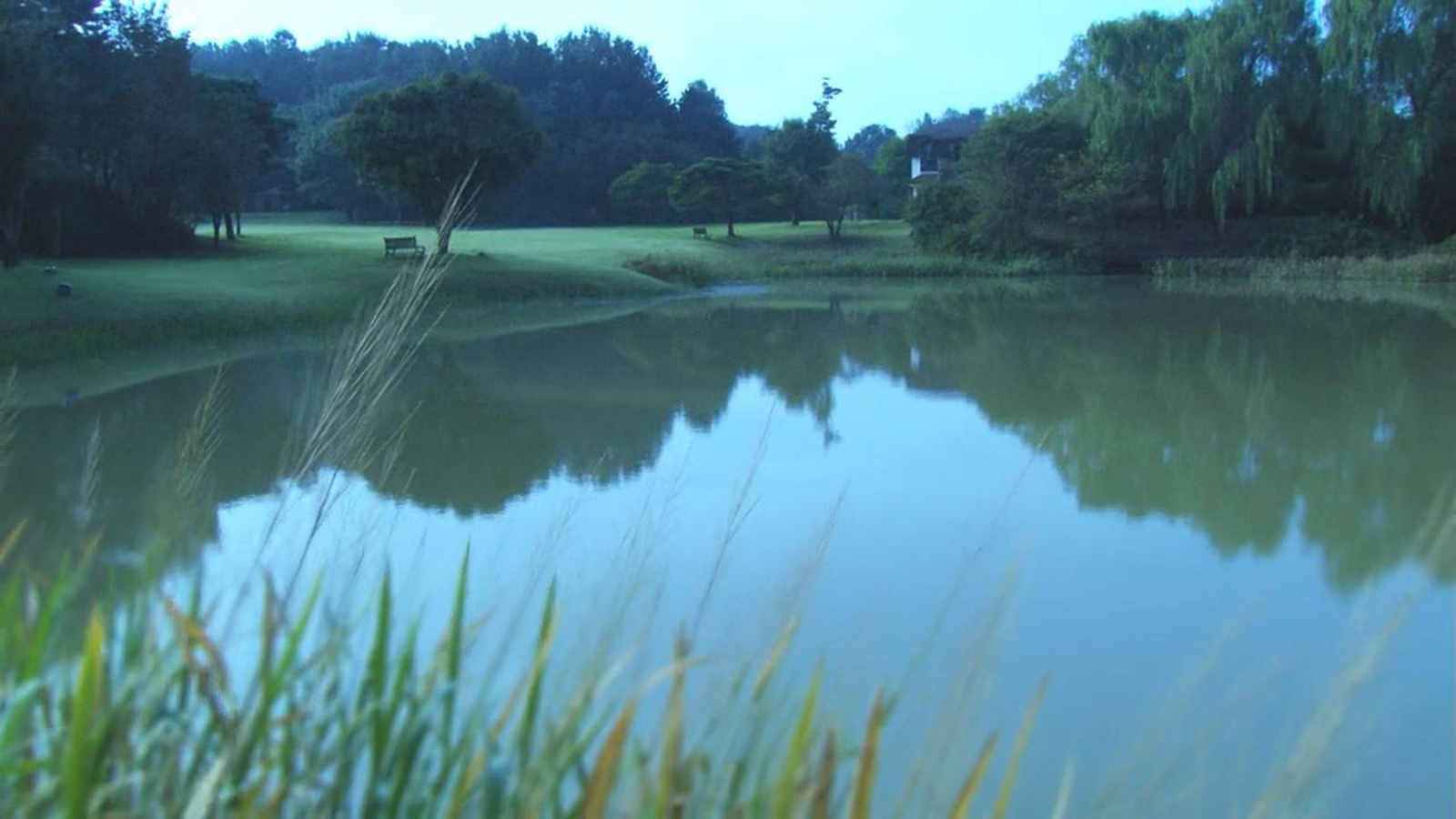 片头池塘