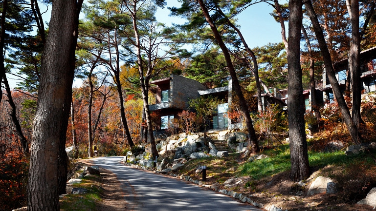 礼山森林