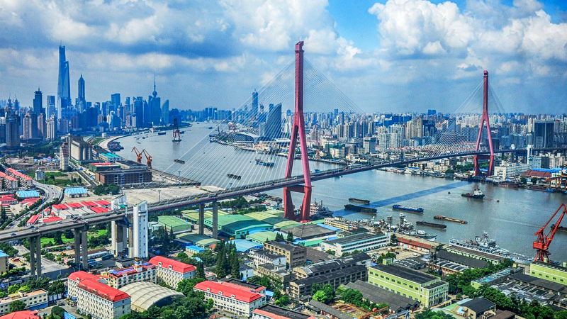 杨浦大桥