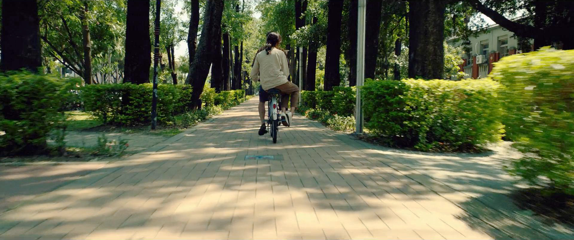阿和载母骑行阳光道