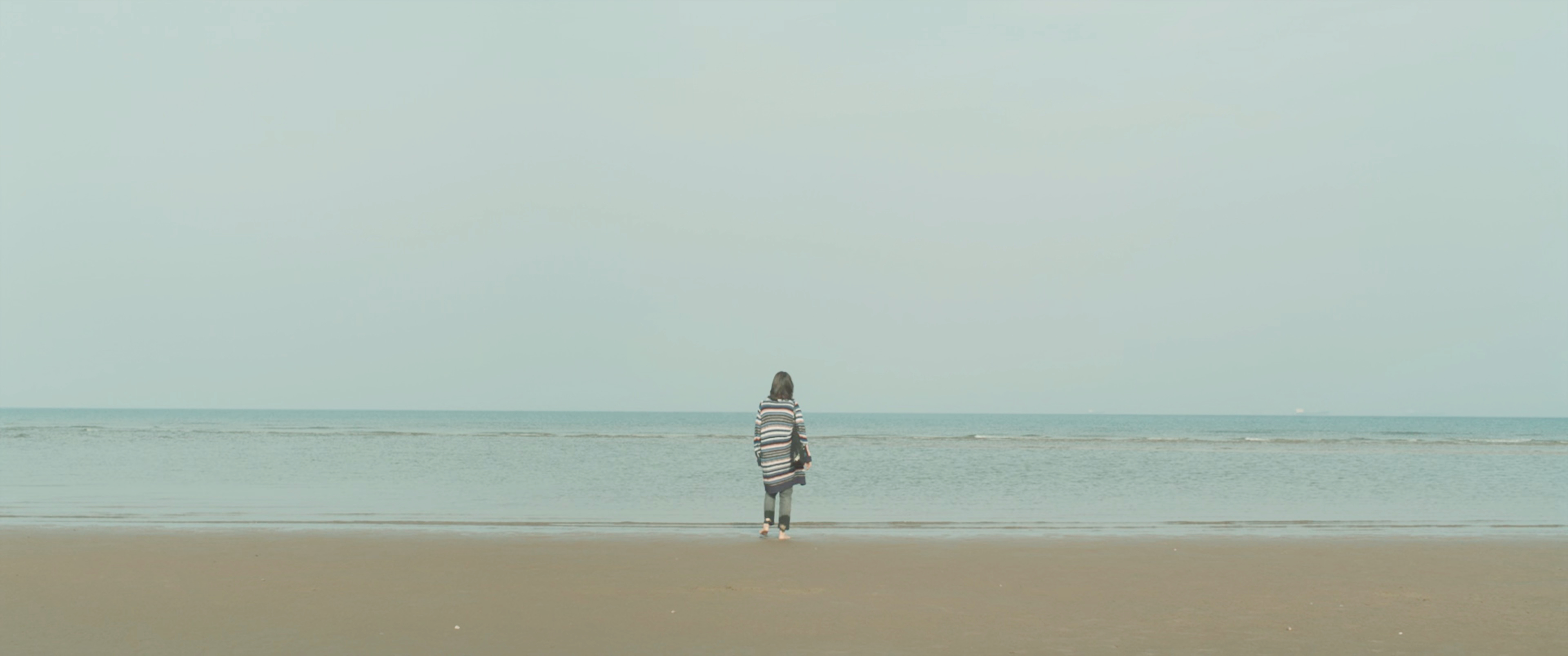 白树瑾大叫的海滩