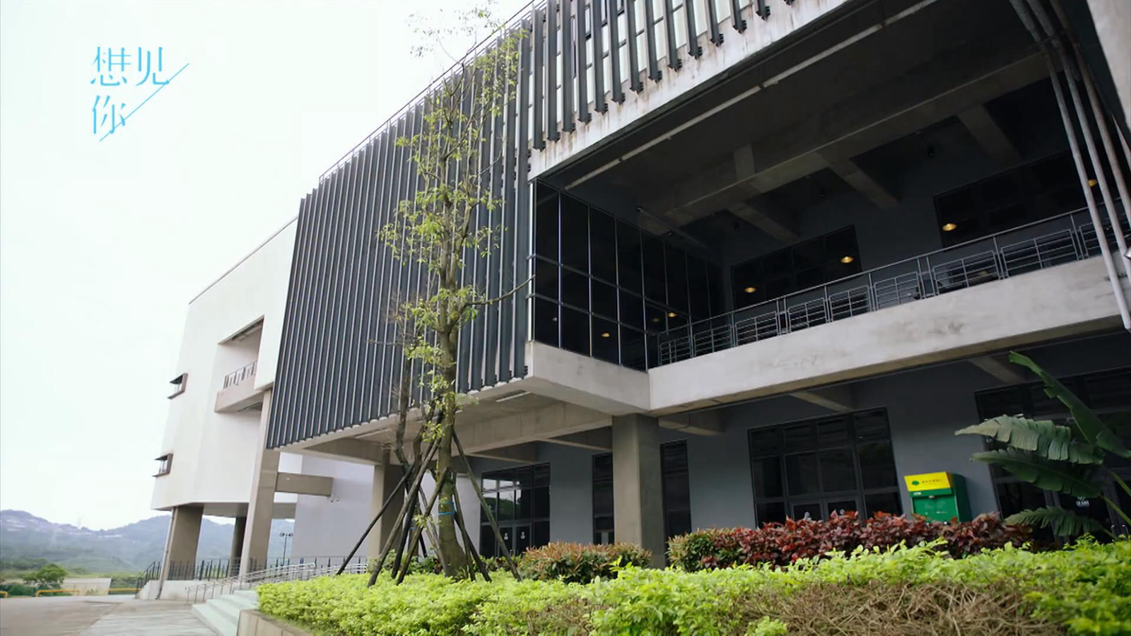 黄雨萱公司