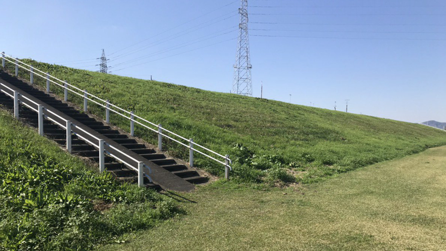借宿绿地