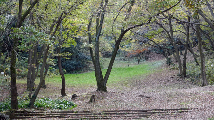 城山公园