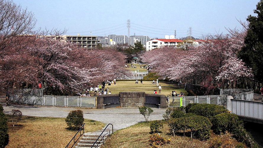 奈良原公园
