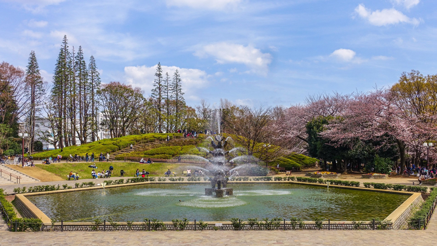 世田谷公园