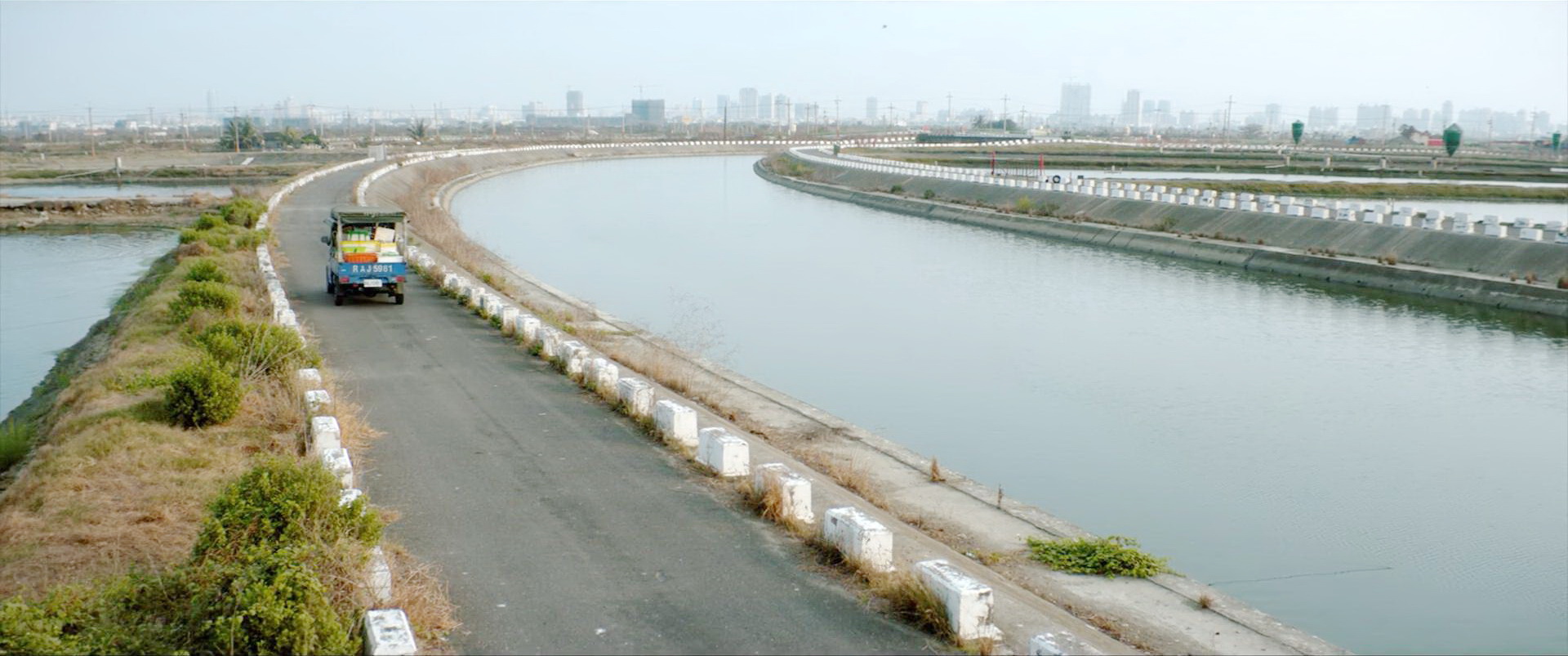 买鱼回家路上