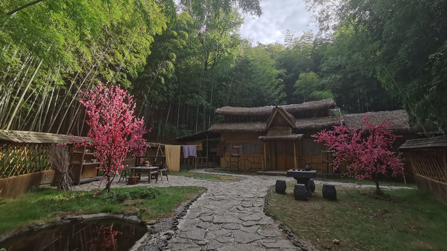 横店度假村竹林
