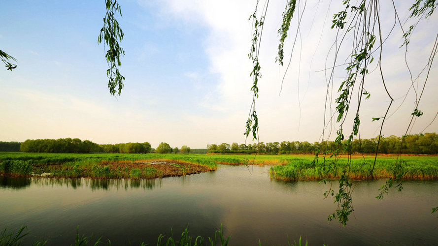 汉石桥湿地公园