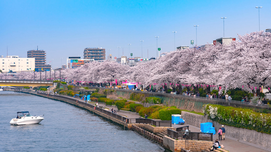 台东区立隅田公园