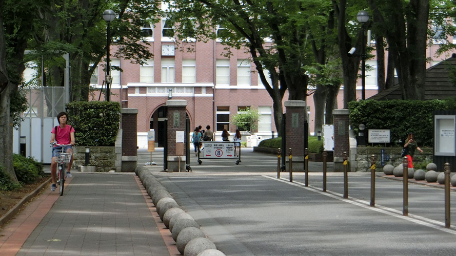 入口大道
